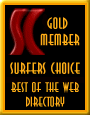 Surfers Choice Awards