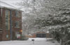 Snow Day - 08-02-07